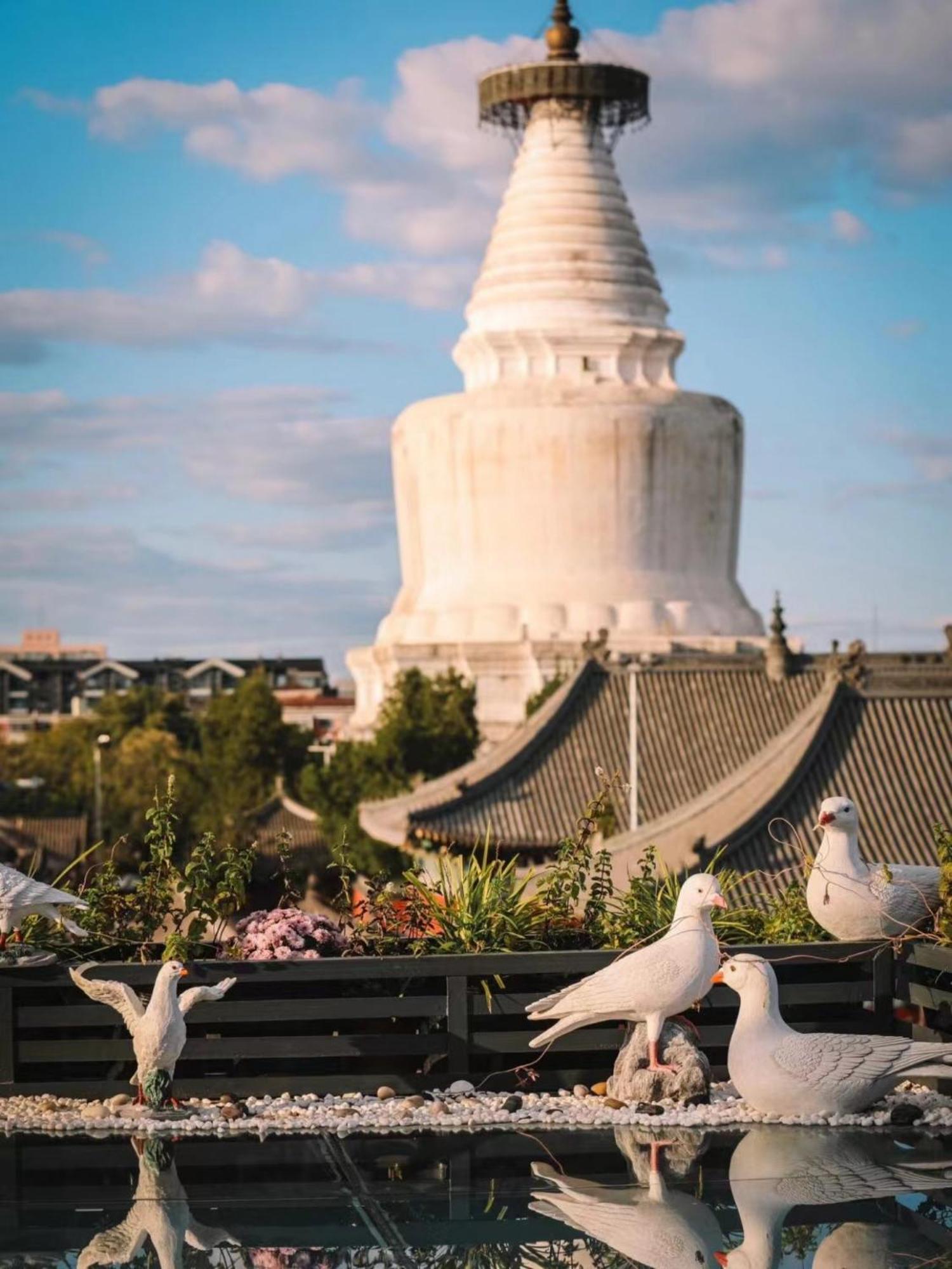 Отель East Sacred ᴸᴱo---foreign Accept---tourism Service English-speaking 丨 Near Tiananmen Forbidden City丨very Close To Metro Zhangzizhong And Beixinqiao 丨european Foot Ball English丨free Advance Tickets And Laundry Drying Service Coffee Snacks 4*