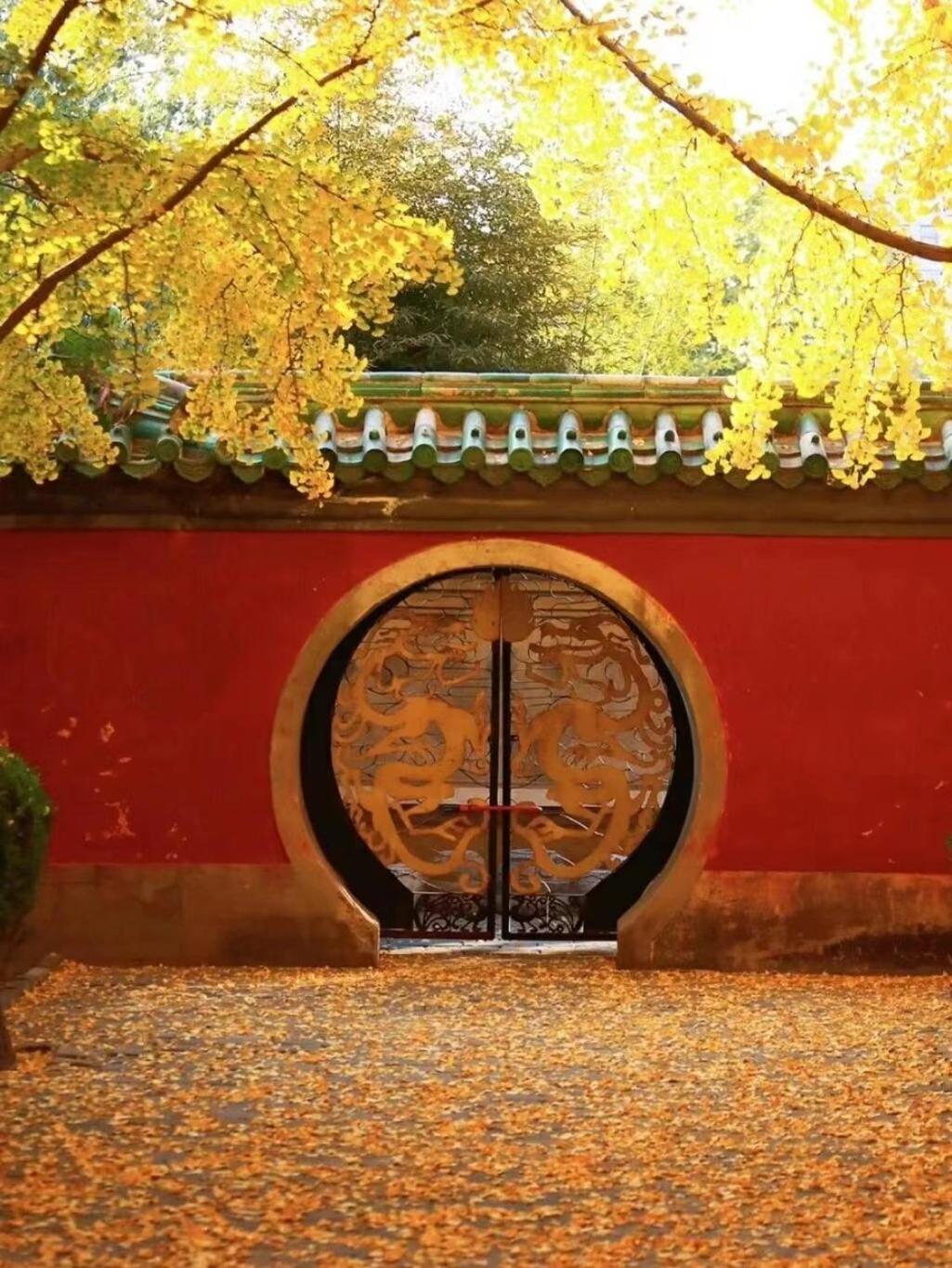 East Sacred ᴸᴱo---foreign Accept---tourism Service English-speaking 丨 Near Tiananmen Forbidden City丨very Close To Metro Zhangzizhong And Beixinqiao 丨european Foot Ball English丨free Advance Tickets And Laundry Drying Service Coffee Snacks Hotel 4*
