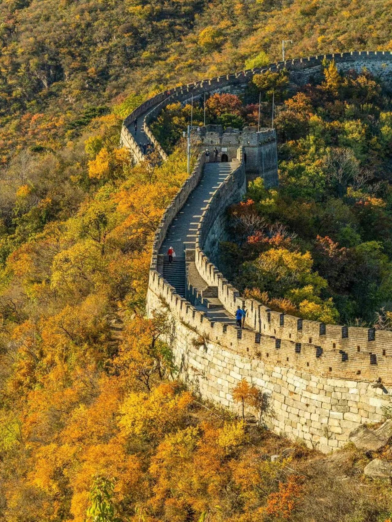 East Sacred ᴸᴱo---foreign Accept---tourism Service English-speaking 丨 Near Tiananmen Forbidden City丨very Close To Metro Zhangzizhong And Beixinqiao 丨european Foot Ball English丨free Advance Tickets And Laundry Drying Service Coffee Snacks 4*