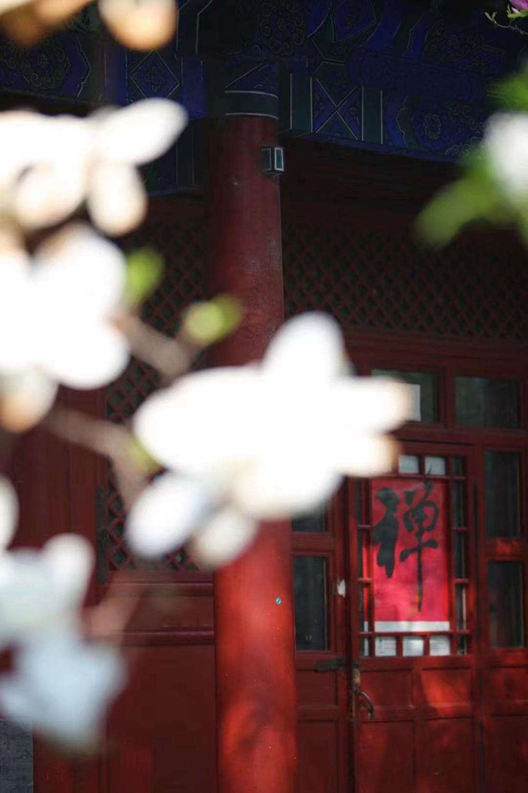 East Sacred ᴸᴱo---foreign Accept---tourism Service English-speaking 丨 Near Tiananmen Forbidden City丨very Close To Metro Zhangzizhong And Beixinqiao 丨european Foot Ball English丨free Advance Tickets And Laundry Drying Service Coffee Snacks 4* Beijing